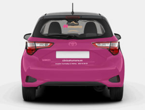 Centro Médico Espacio Humana - Rotulación coche empresa vista trasera